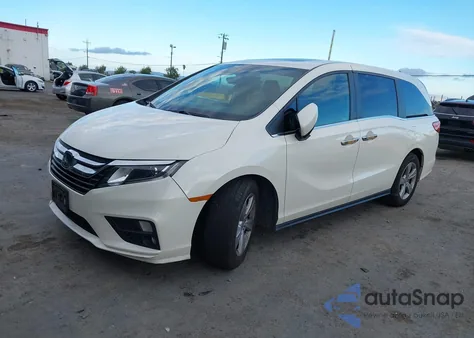 2019 Honda Odyssey Ex-L z USA, uszkodzony, nr VIN 5FNRL6H74KB101579